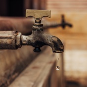 As Komatipoort locals report fish coming out of taps, court orders municipality to fix water crisis