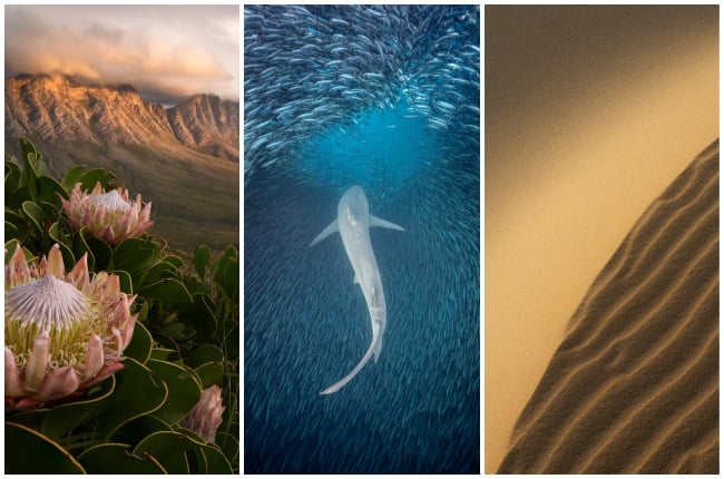 The 2023 SA Photographer of the Year contest recently announced its winners. (PHOTO: ©SAPOTY/NICK JOUBERT, ©SAPOTY/LINDA NESS, ©SAPOTY/HEIN KOTZÉ)