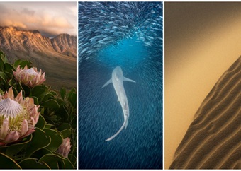 Winning pics from the SA Photographer of the Year contest will have you in awe