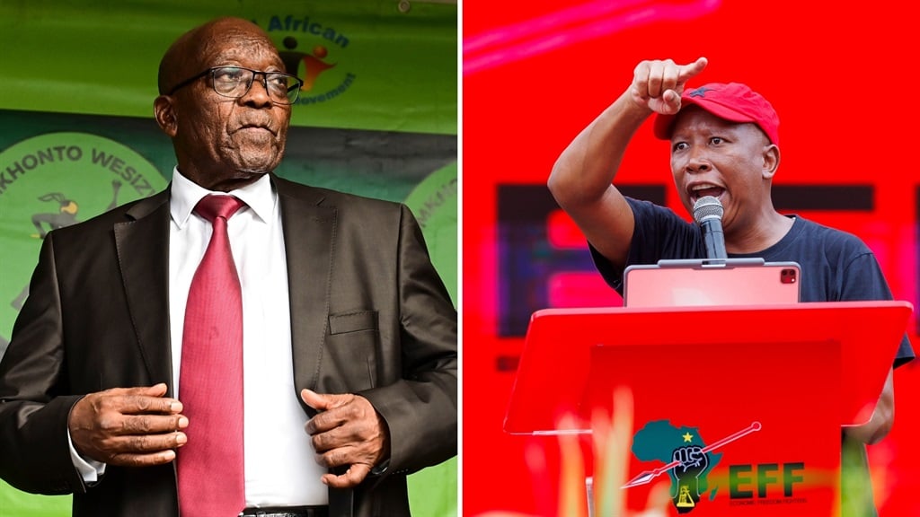 Jacob Zuma (left) and Julius Malema (right). (Darren Stewart and Dirk Kotze/Gallo Images)