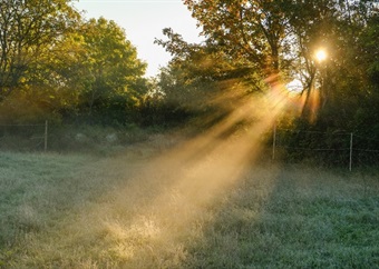 Monday's weather: Morning fog but cool to warm conditions for most of SA