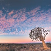 Kies koers na Namibië en ontdek baie meer as net woestynsand