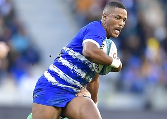 Fit-again trio boost Stormers for Dragons clash in Wales