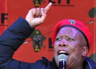 LIVE | WATCH: 'Only animals must drop and see kak' - Malema