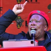 LIVE | WATCH: 'Only animals must drop and see kak' - Malema