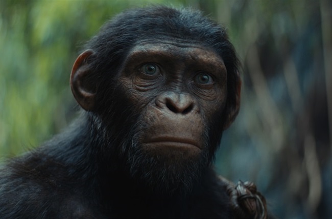 REVIEW | Kingdom of the Planet of the Apes skilfully blends philosophy with jaw-dropping visuals