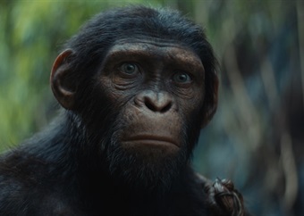 REVIEW | Kingdom of the Planet of the Apes skilfully blends philosophy with jaw-dropping visuals