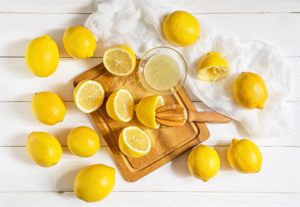 US launches antidumping investigation against SA lemon juice exporters | Business