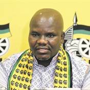 ANC elections head says bigwigs campaigning in designer clothes, German cars a concern