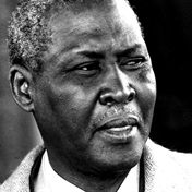 Inquest into death of Chief Albert Luthuli to be reopened, says Lamola