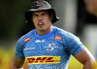 A good start, but job's not done for Stormers yet, says loose forward Engelbrecht