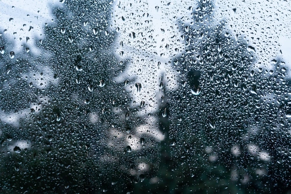 Tuesday's weather: Warnings issued for snow, rain, strong winds in multiple provinces | News24