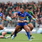 Massive blow for Stormers, Boks as Willemse ruled out for 4 months 
