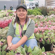 Kylemore's floral fundi to Chelsea Flower Show