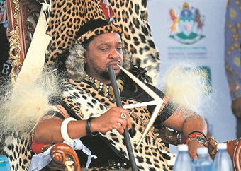 'They refuse to listen to me':  AmaZulu king to summon Thoko Didiza over Ingonyama Trust dispute