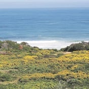 Wes-Kaapse plaasgrond word tot Fynbosstrand-natuurreservaat verklaar