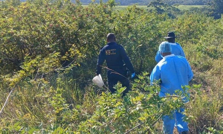 Human remains were found in a secluded area in New Guilderlands. (Supplied/SAPS)