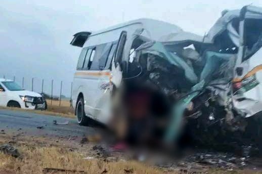 Thirteen people died after a flatbed truck collided with a minibus taxi on the R521, Dendron Road, in Ga-Hlahla in the Polokwane Local Municipality on Tuesday morning. (Supplied)