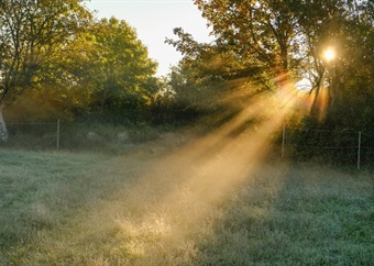 Wednesday's weather: Fine, cool to warm conditions for most of SA on voting day