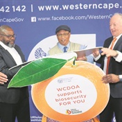 Boost for citrus industry