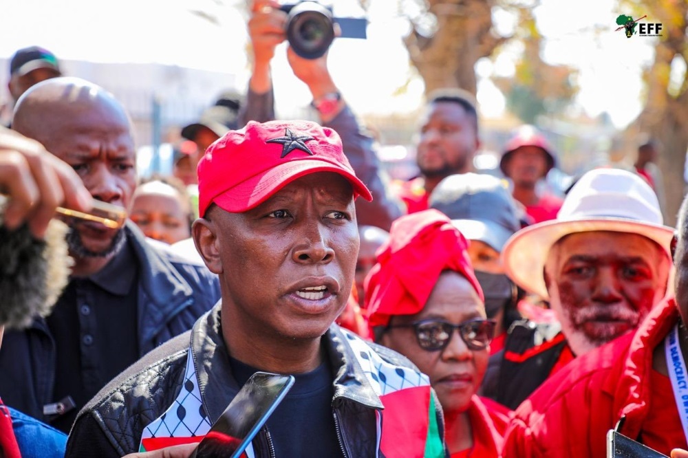 Political tolerance urged by Malema amid Juju Valley election vigilance | News24