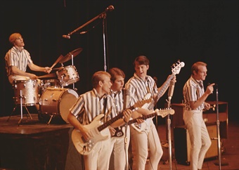 The Beach Boys: Dokkie bied kykie agter blonde kuiwe