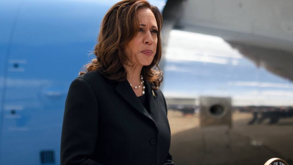 US Vice President and 2024 Democratic presidential candidate Kamala Harris delivers remarks before departing George Bush Intercontinental Airport in Houston, Texas, as she returns to Washington, DC. (Mark Felix/AFP)