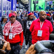  EFF knocked from its position as the third largest party in SA