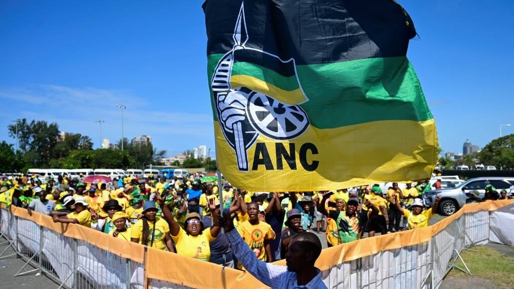 The ANC lost the greatest number of seats following the 2024 elections. (Darren Stewart/Gallo Images)