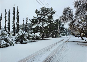 'It's so beautiful to see': Blanket of snow brings joy and warm memories to Northern Cape