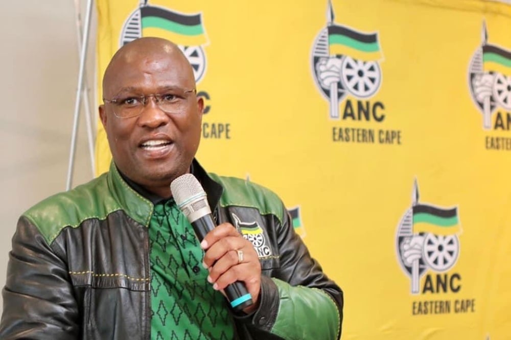 ANC in Eastern Cape says yes to government of national unity and a hard no to Ramaphosa resignation | News24