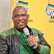 ANC in Eastern Cape says yes to government of national unity and a hard no to Ramaphosa resignation