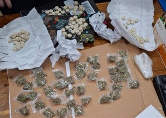 Cape Town attorney arrested after being found with mandrax and dagga inside court