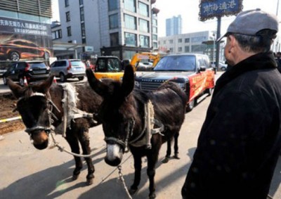 TWO HORSEPOWER?: After one breakdown too many, a desperate owner resorted to this dual-donkey powered towing solution.