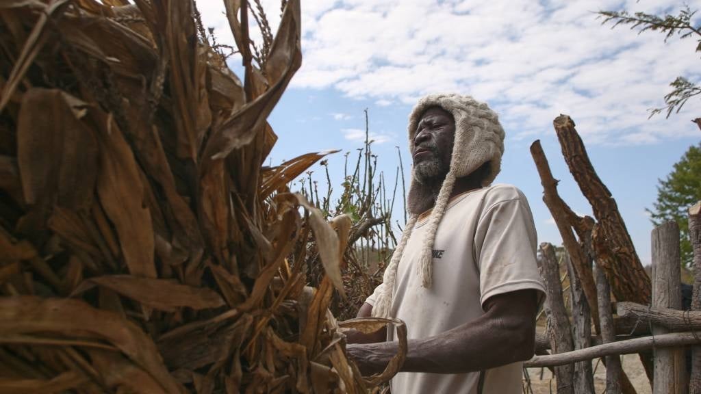 News24 | 'Most of us have no food in our homes': Drought leaves Zimbabwe starving, desperate to survive