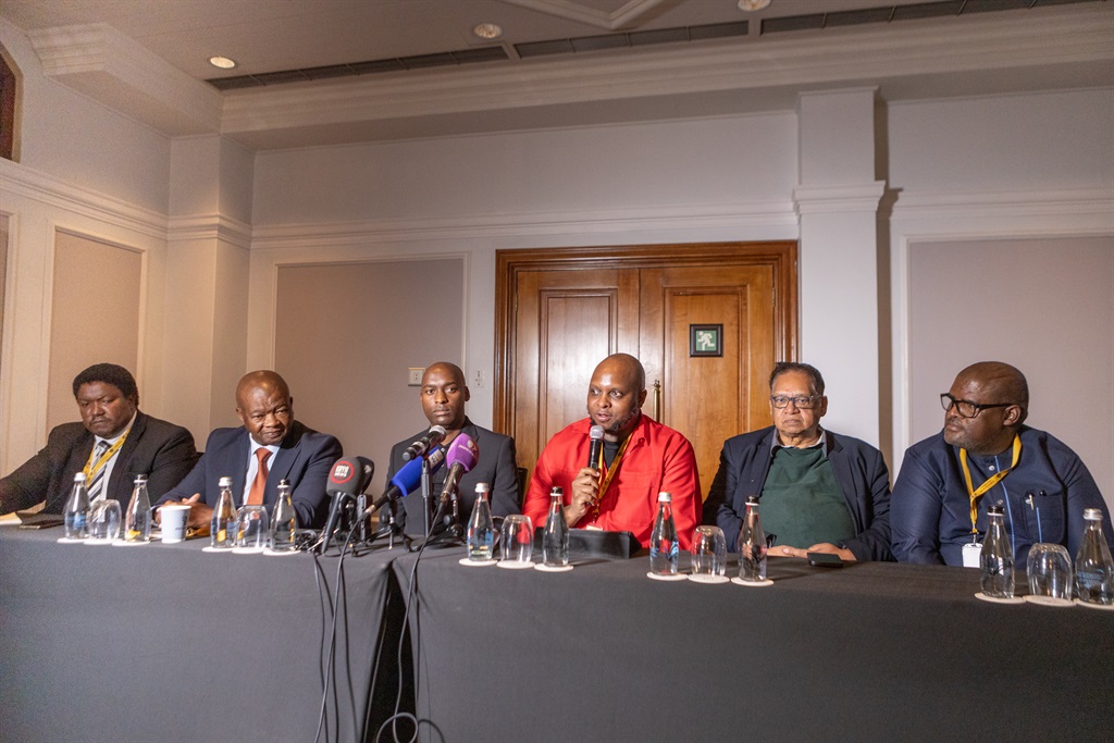 News24 | Mcebisi Ndletyana | Flash in the pan: Why the progressive caucus will not last