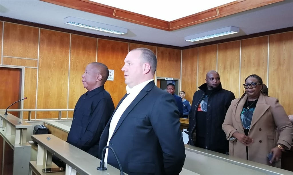 News24 | 'It could have been planted': Ballistics expert challenges evidence in Malema firearm case