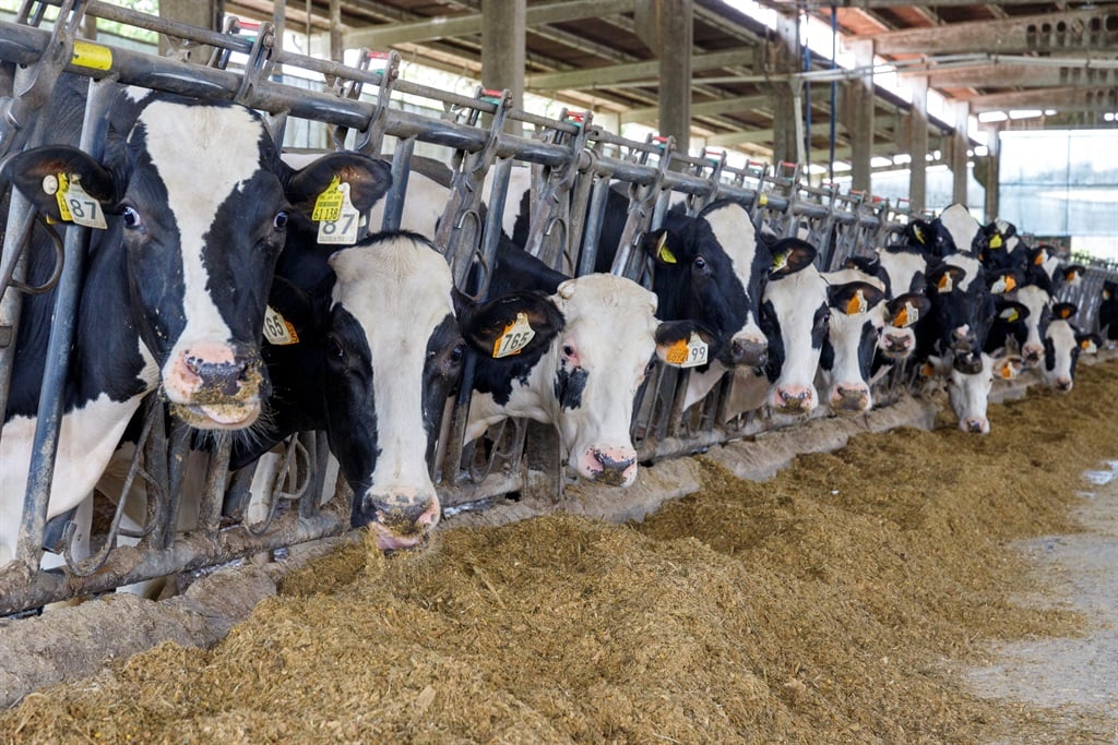 News24 | Big meat and dairy are 'undermining' climate action - report