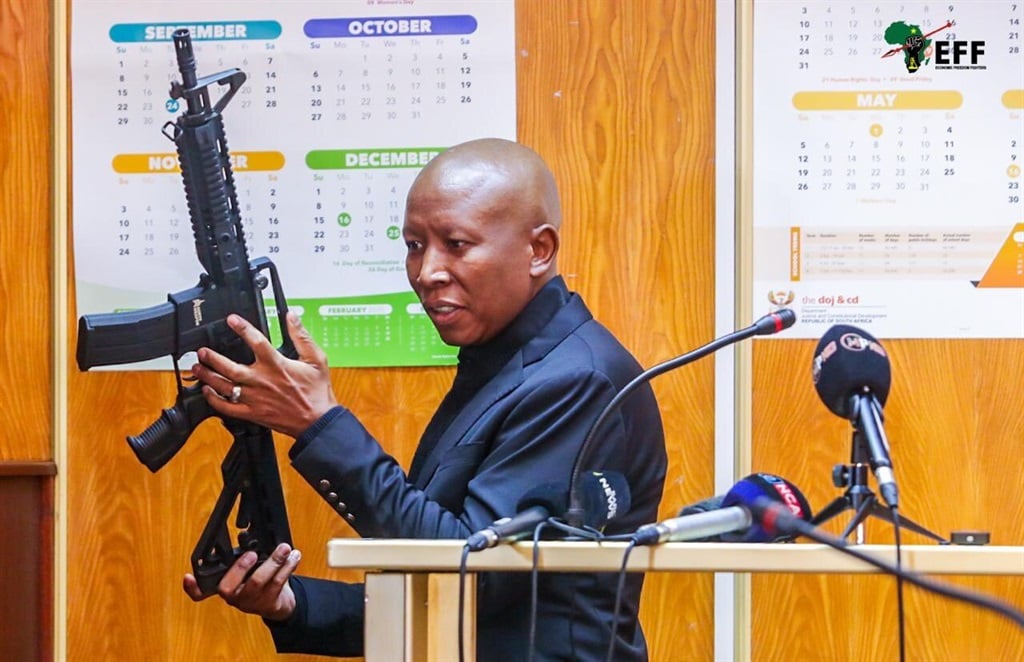 EFF leader Julius Malema testifying in East London Regional Court on Wednesday. (EFFSouthAfrica/X) 