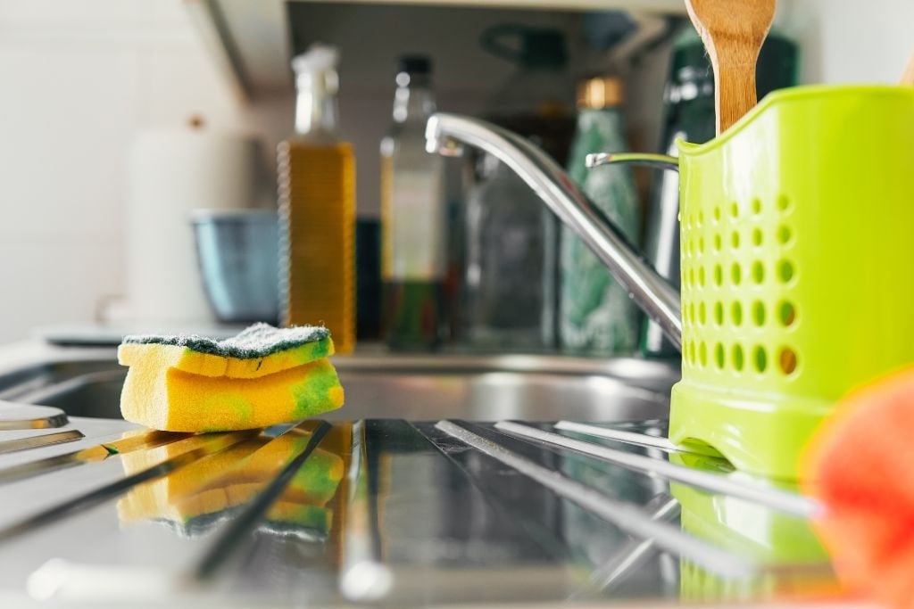 bacteria, cleaning tips