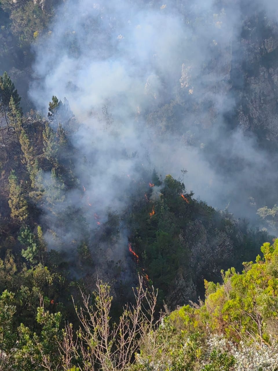 A fire at Garden Route National Park burned around