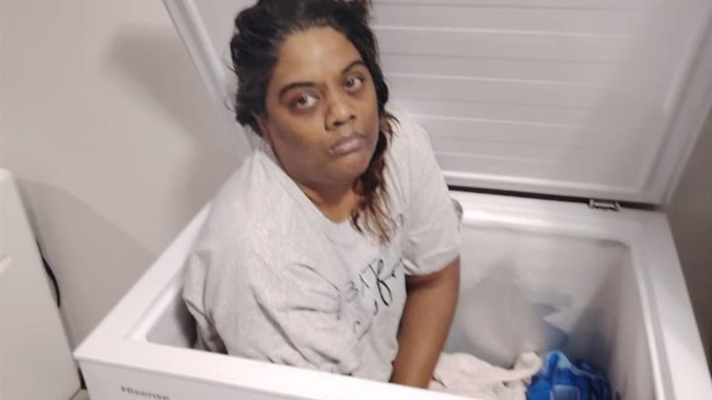 Gauteng woman who hid inside freezer to evade arrest sent to jail for fraud and theft  | News24