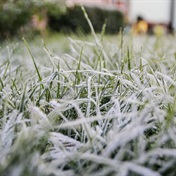  Frosty morning with fog in some regions, but fine to cool conditions elsewhere