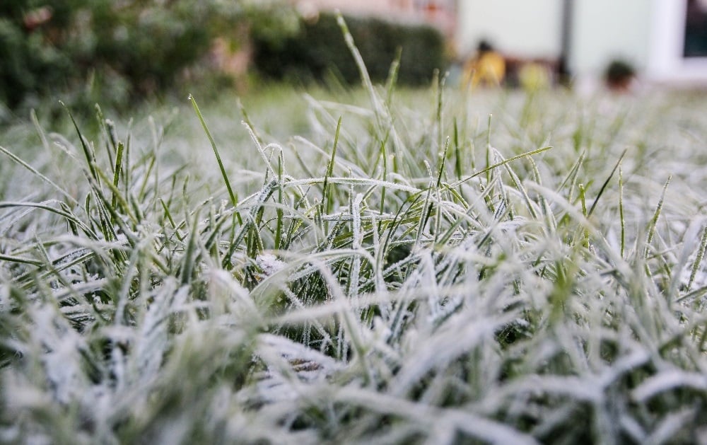 News24 | Tuesday's weather: Frosty morning with fog in some regions, but fine to cool conditions elsewhere