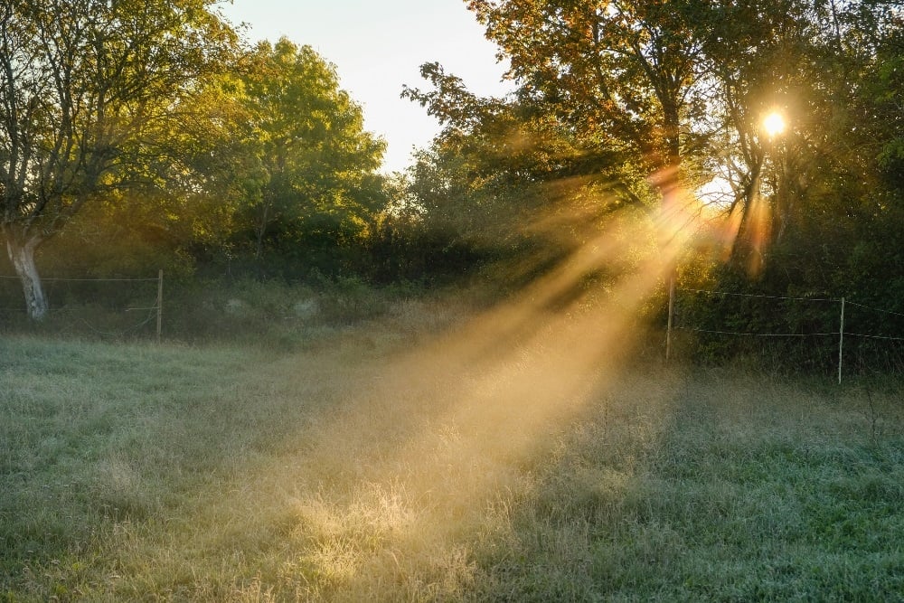 High fire danger conditions are expected in the Northern Cape, but it will be fine and cool to warm for most of the country. (Schon/Getty Images)