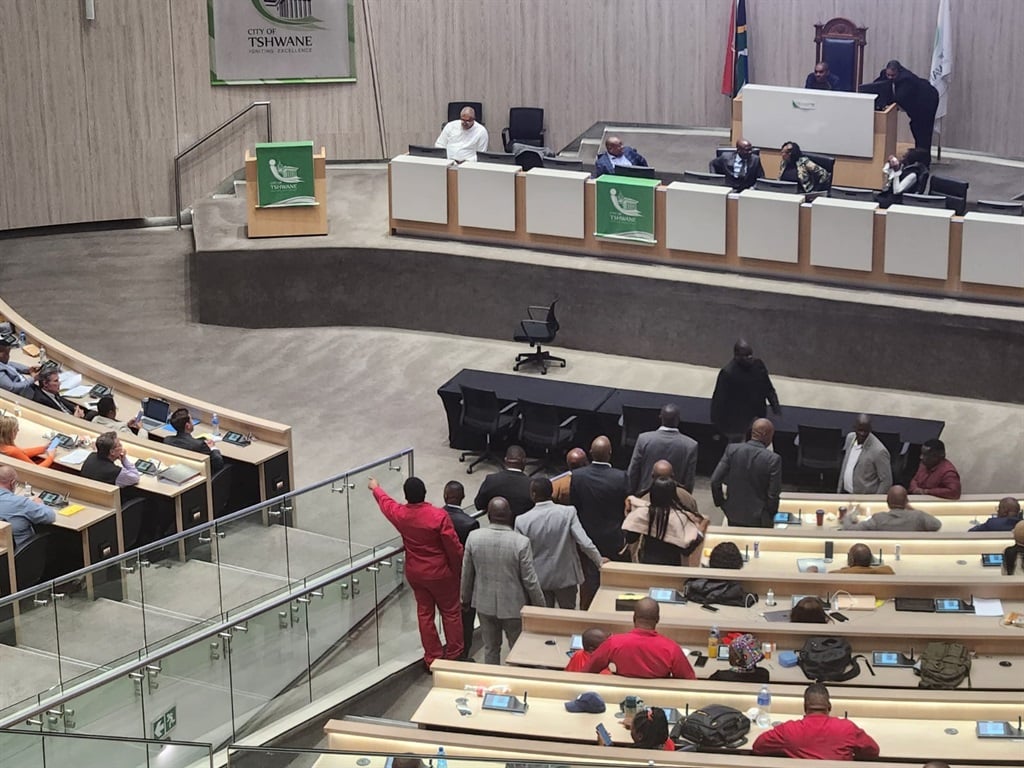 News24 | 'I'm craving to m**r a Boer': Tshwane council meeting adjourned amid racial threats of violence