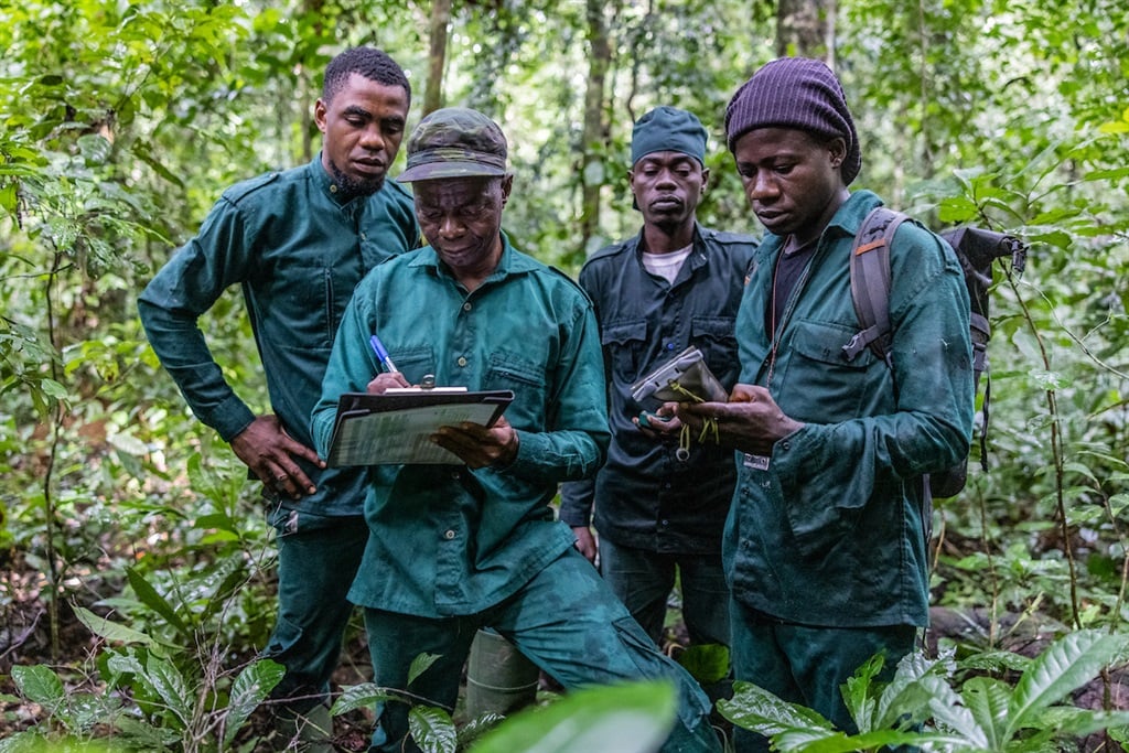News24 | 'Anything can happen': New research project looks to boost ranger safety