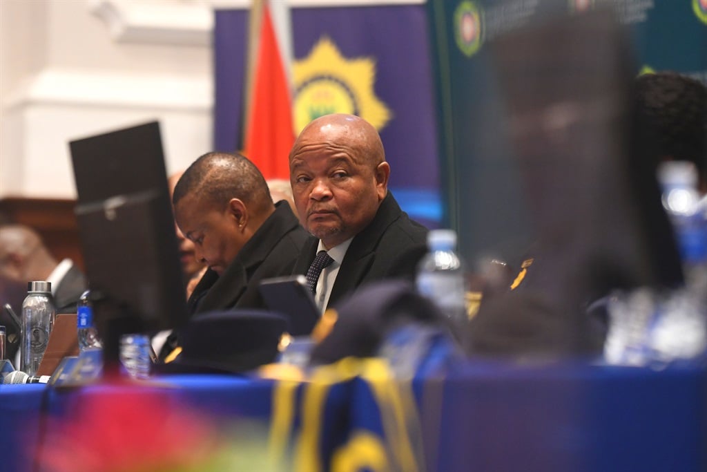 Police Minister Senzo Mchunu described extortionists as "murderous parasites". (Gallo Images/Die Burger/Theo Jeptha)