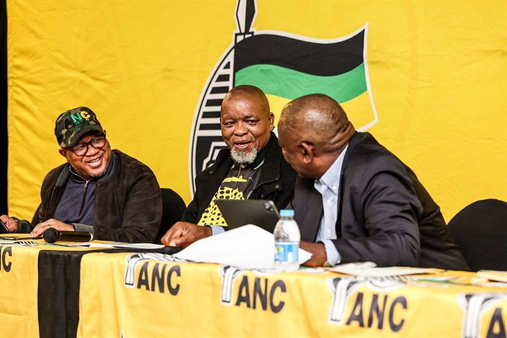News24 | Taking stock: ANC NEC to formulate plan to regain lost ground