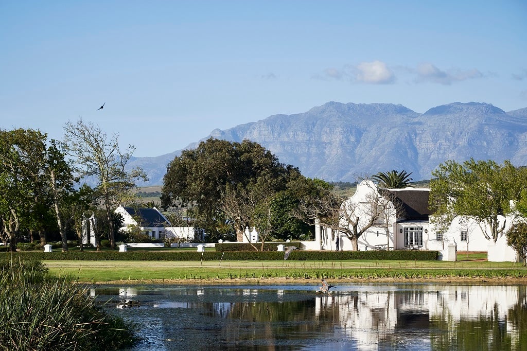 News24 | WATCH | Working ducks and cattle help this Stellenbosch farm combat pests, improve soil health